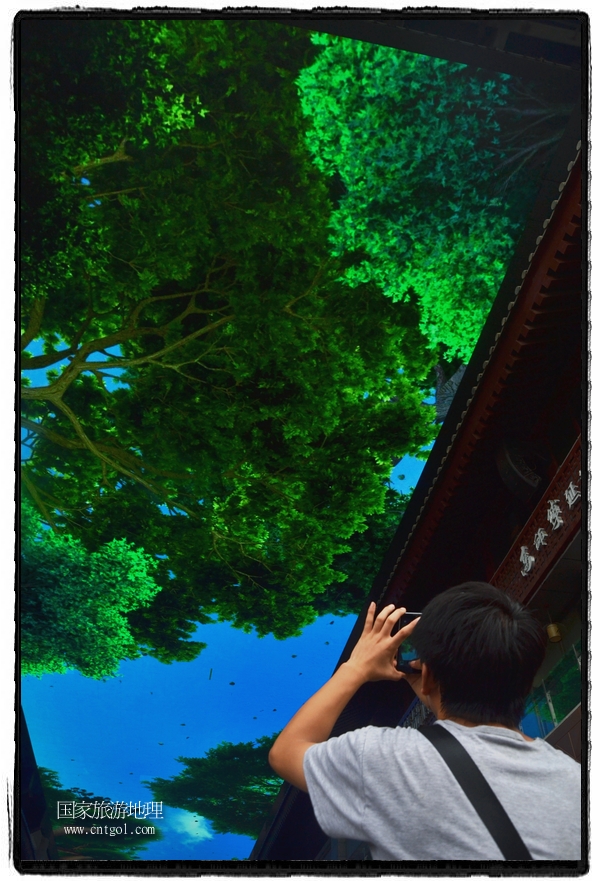 9月8日，在西安市大雁塔景區(qū)，“天幕”景觀吸引游客駐足觀看，并拿出手機(jī)拍攝。